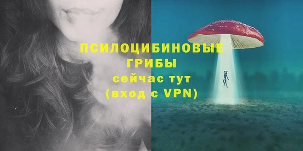 прущий лед Алексин