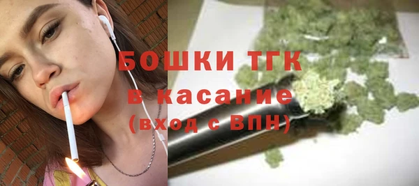 гидропоника Пересвет