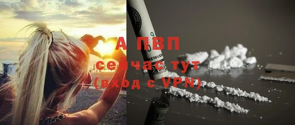 дживик Пестово