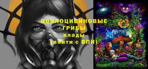 дживик Пестово