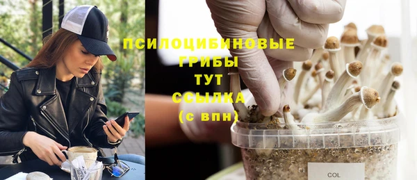 MDMA Premium VHQ Алексеевка