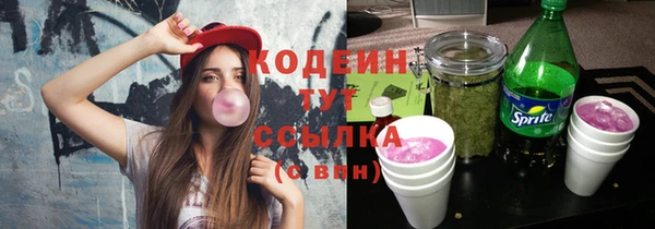 дживик Пестово