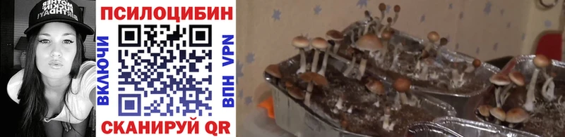 Галлюциногенные грибы Magic Shrooms  Тосно 